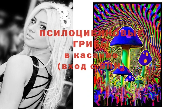 марки lsd Алзамай