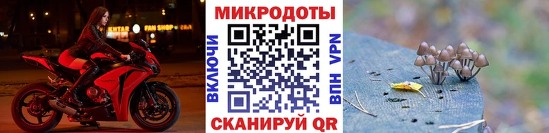 дарк нет состав  гидра ССЫЛКА  Кизел  Галлюциногенные грибы GOLDEN TEACHER 